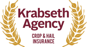 krabseth-agency-logo.png