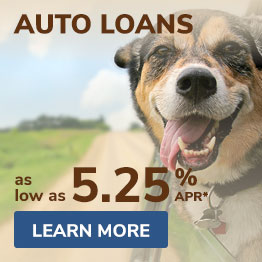 Auto Loans as low as 4.25% APR*. Learn More